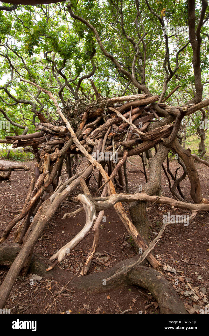 Semplice rifugio costruito con tronchi e rami nella riserva naturale de Manteling vicino a Domburg su Walcheren, Zeeland, Paesi Bassi. einfacher unte Foto Stock
