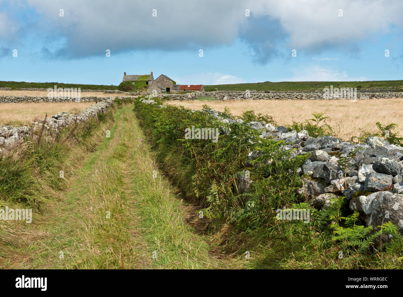 Strada per azienda abbandonata, Bosullow, Cornwall, Regno Unito Foto Stock