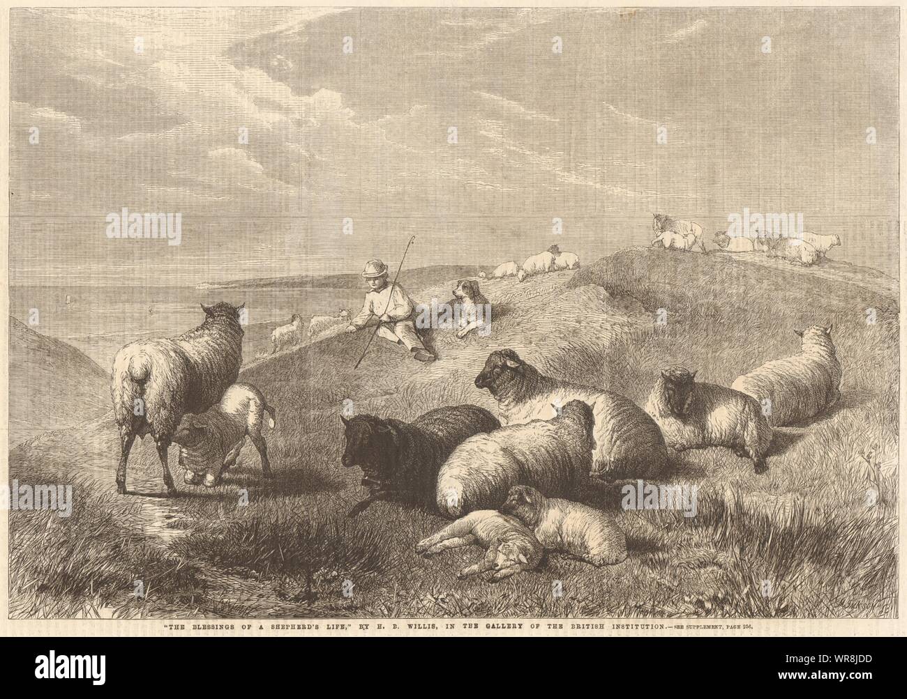 "La benedizione di un pastore la vita" di H. B. Willis. Agricoltura. Pecore 1862 Foto Stock