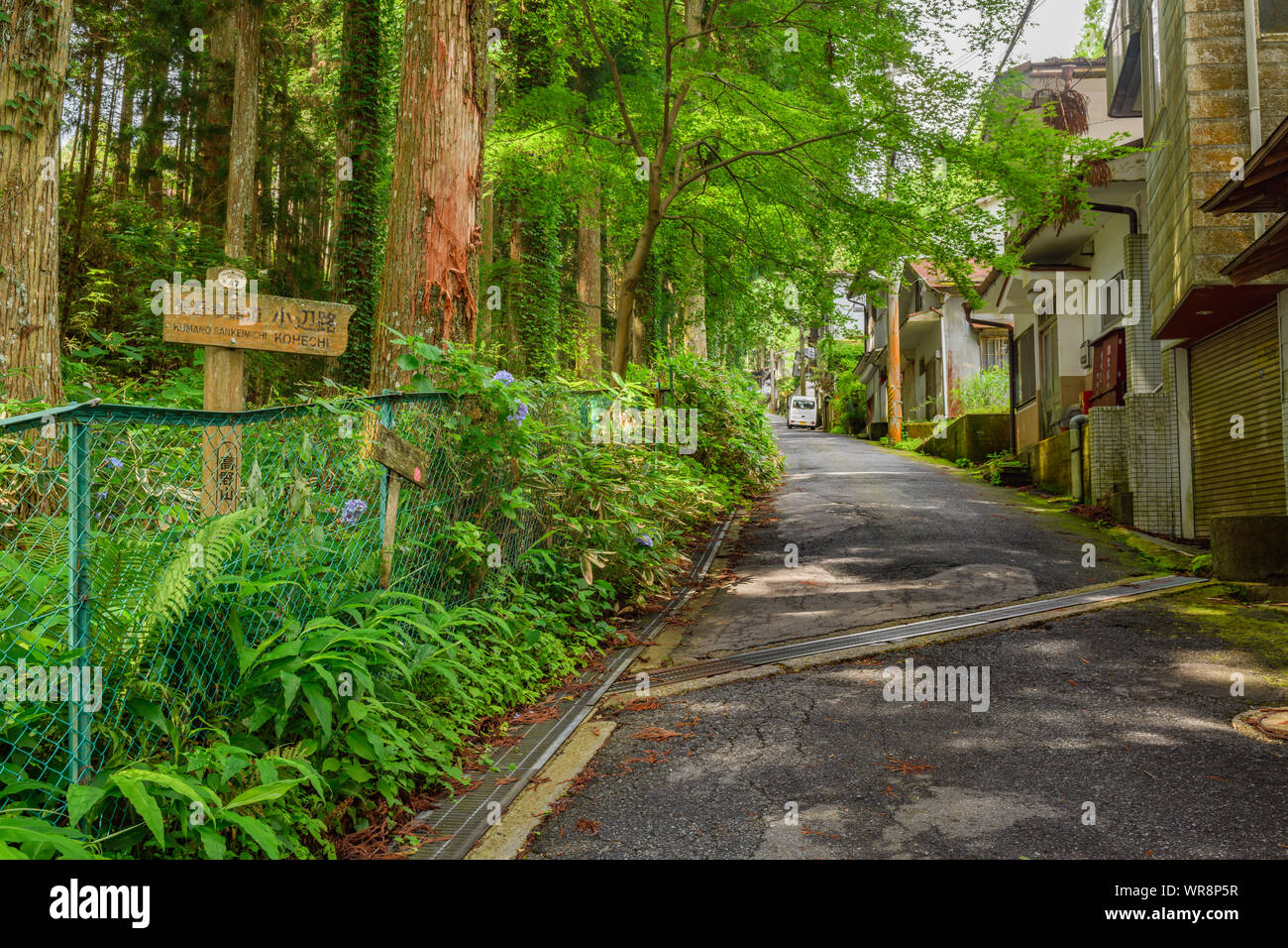 Wakayama, Giappone - 24 Luglio 2019: Kohechi sentiero, uno dei sentieri di montagna sulla Kumano Kodo pellegrinaggio indirizza a Koyasan. Foto Stock