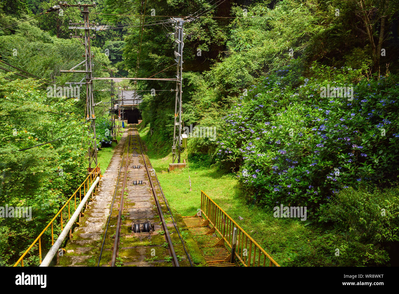 Cabeço della linea di collegamento tra la stazione Koyasan e Gokurakubashi stazione sul Nankai Koya Line. La pista si estende 0,8 km e un intervallo verticale di 328m. Foto Stock