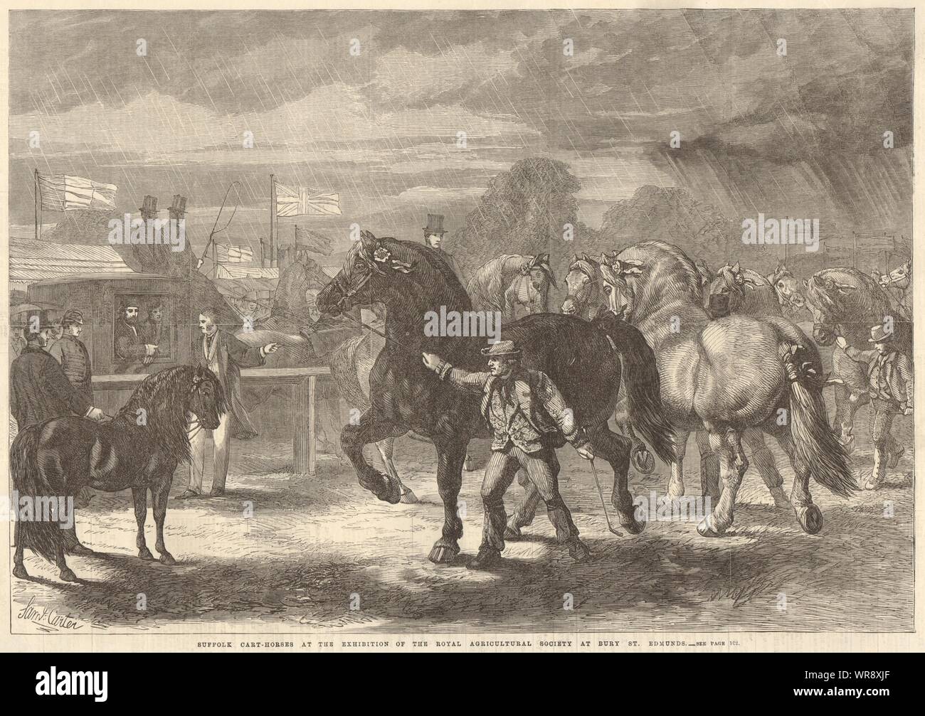 Suffolk carrello cavalli, Royal Agricultural Society fair, Bury St Edmunds 1867 Foto Stock