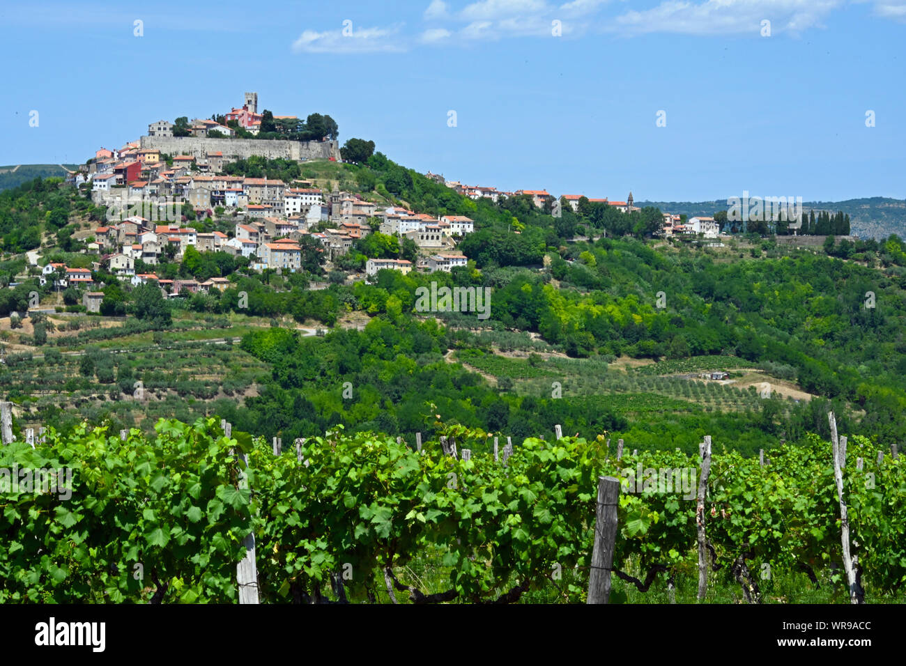 Vista della città sulla collina di Montona, Istria, Croazia Foto Stock