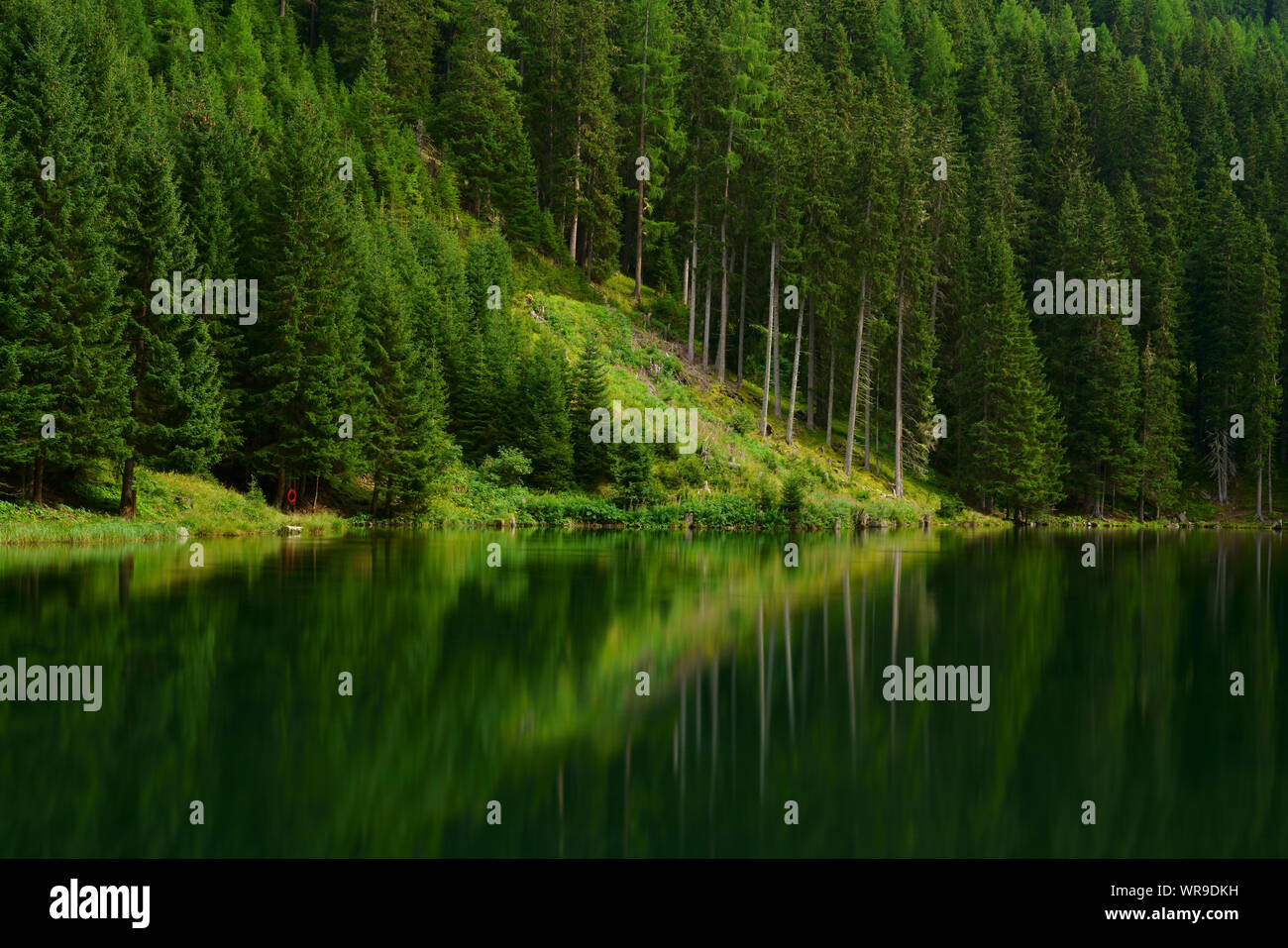 Verde scuro delle acque di un lago idilliaco nella foresta. Foto Stock