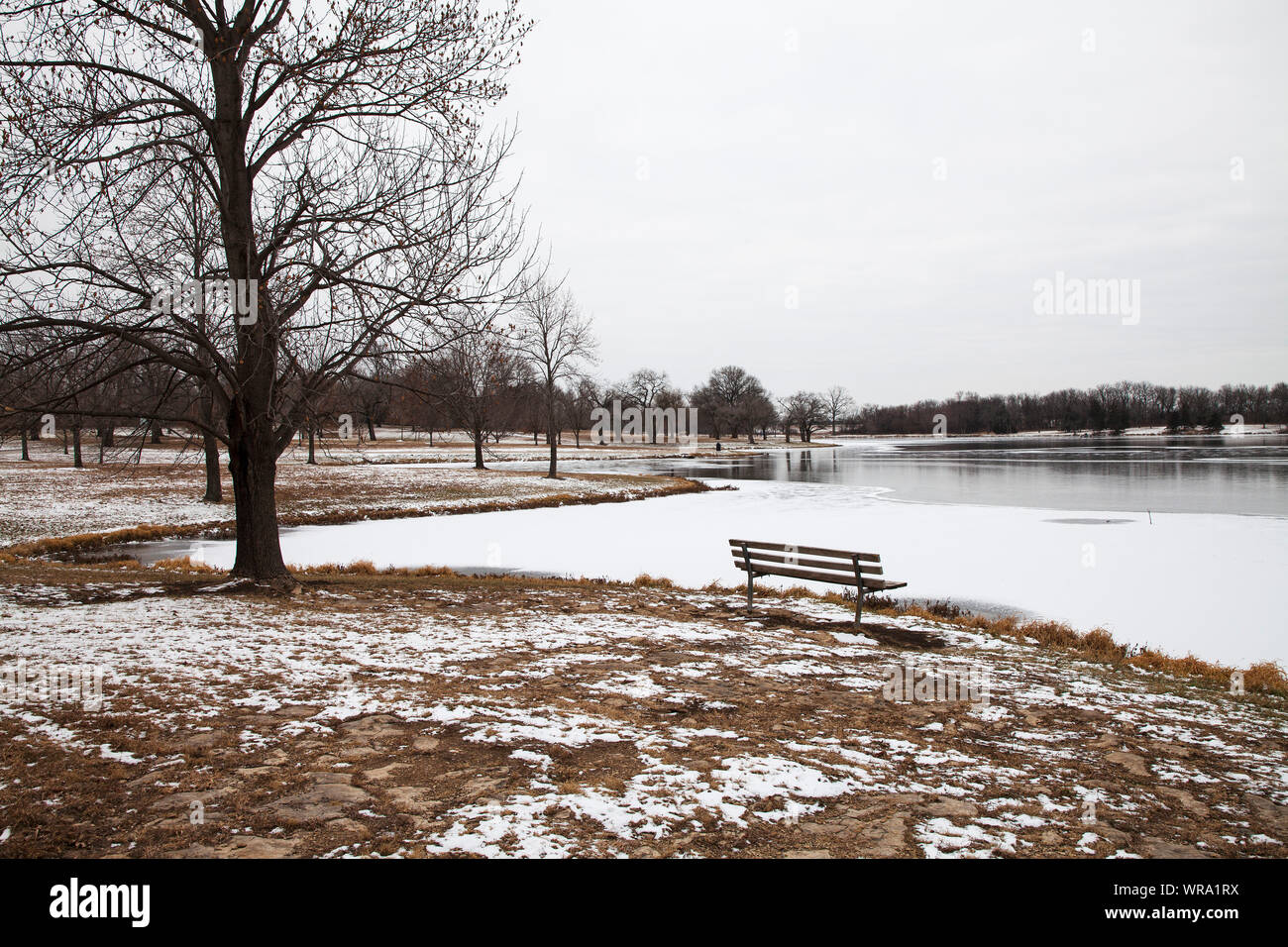 Albero e sedile posteriore accanto al lago, Cedar Lake Park, città di Olathe, Kansas, USA, dicembre 2017 Foto Stock