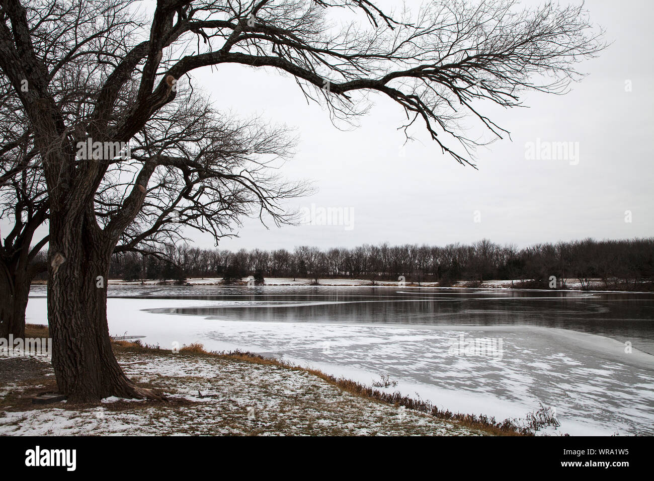 Alberi decidui accanto al lago ghiacciato, Cedar Lake Park, città di Olathe, Kansas, USA, dicembre 2017 Foto Stock