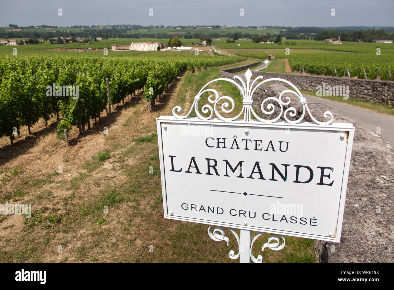 Città di Saint-Emilion, Francia. Vista pittoresca di un Larmande grand cru Vigna classe segno, con Larmande Chateau in background. Foto Stock