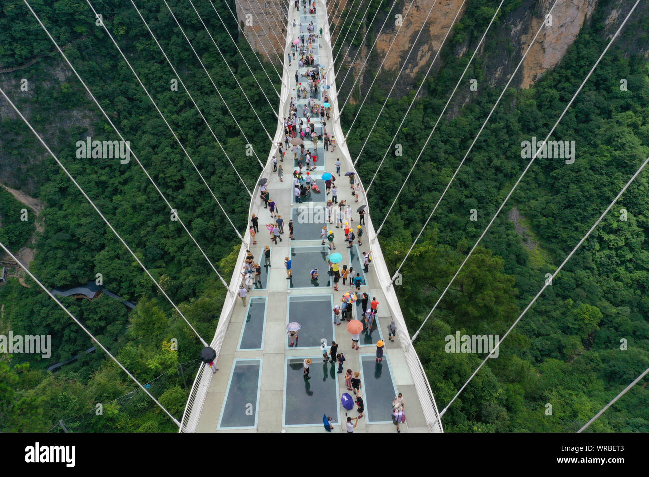 In questa vista aerea, turisti brave la più lunga del mondo e il più alto dal fondo di vetro ponte sopra il Zhangjiajie Grand Canyon a Wulingyuan Scenic e H Foto Stock