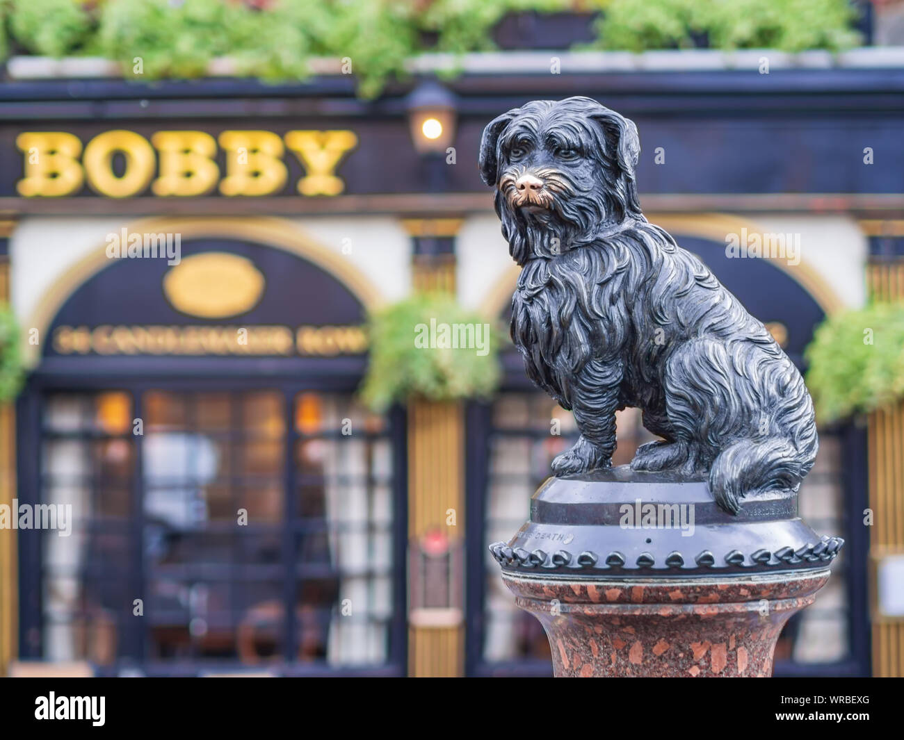 La statua del famoso fedele Skye Terrier cane Greyfriars Bobby e pub con lo stesso nome in Edinburgh old town. Foto Stock