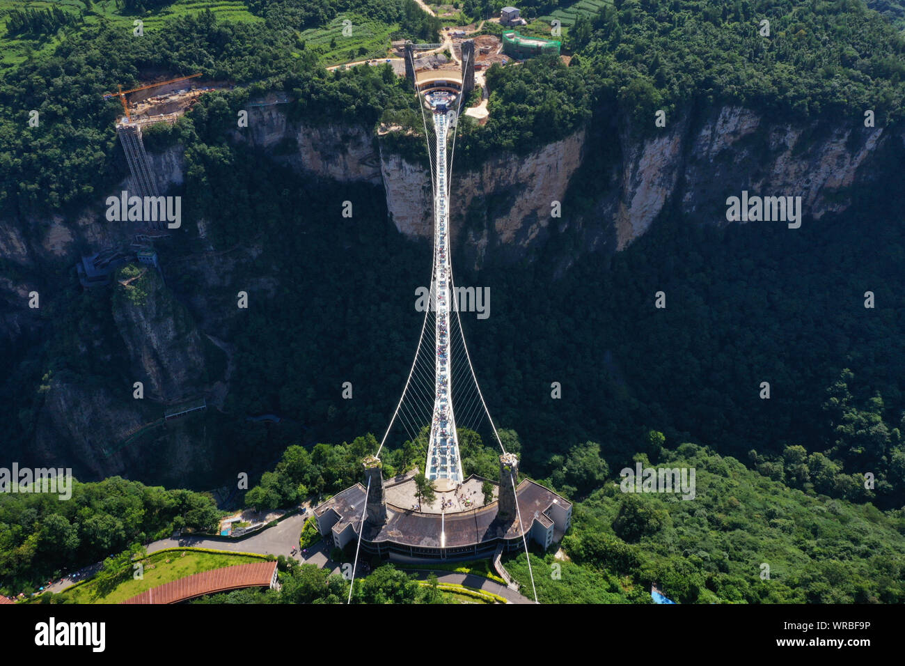In questa vista aerea, turisti brave la più lunga del mondo e il più alto dal fondo di vetro ponte sopra il Zhangjiajie Grand Canyon a Wulingyuan Scenic e H Foto Stock