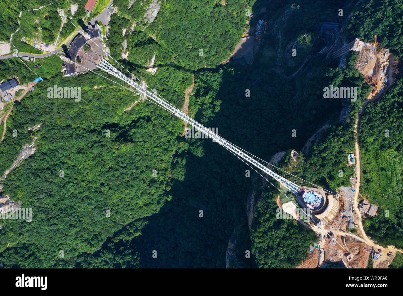 In questa vista aerea, turisti brave la più lunga del mondo e il più alto dal fondo di vetro ponte sopra il Zhangjiajie Grand Canyon a Wulingyuan Scenic e H Foto Stock