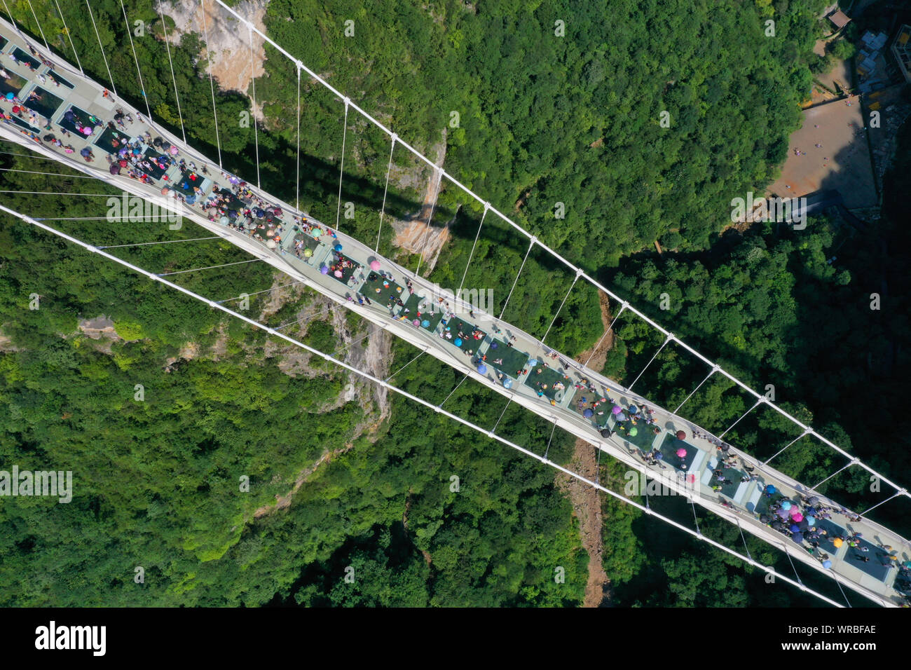 In questa vista aerea, turisti brave la più lunga del mondo e il più alto dal fondo di vetro ponte sopra il Zhangjiajie Grand Canyon a Wulingyuan Scenic e H Foto Stock