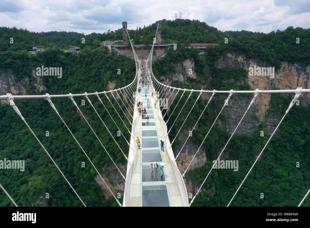 In questa vista aerea, turisti brave la più lunga del mondo e il più alto dal fondo di vetro ponte sopra il Zhangjiajie Grand Canyon a Wulingyuan Scenic e H Foto Stock