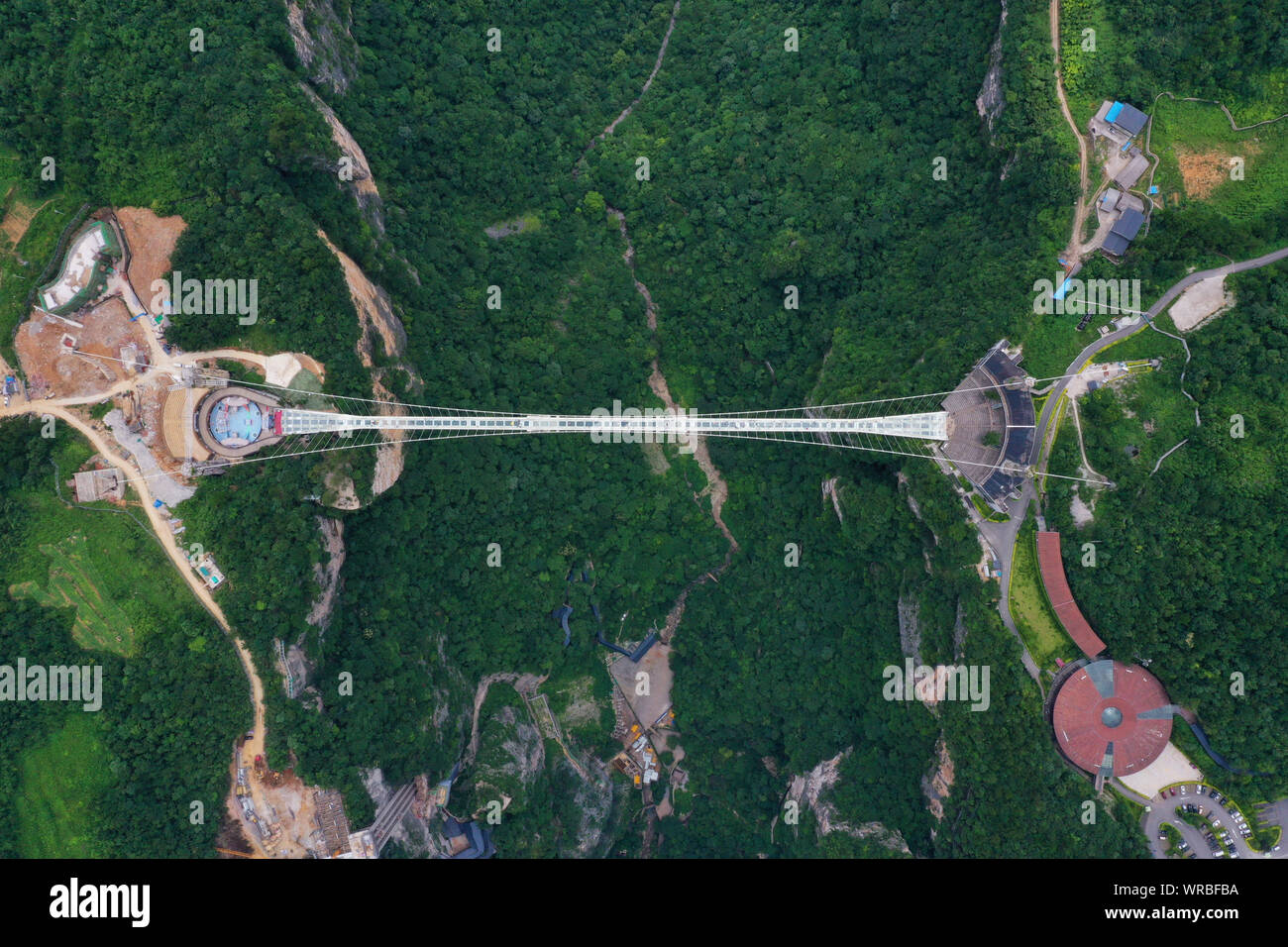 In questa vista aerea, turisti brave la più lunga del mondo e il più alto dal fondo di vetro ponte sopra il Zhangjiajie Grand Canyon a Wulingyuan Scenic e H Foto Stock
