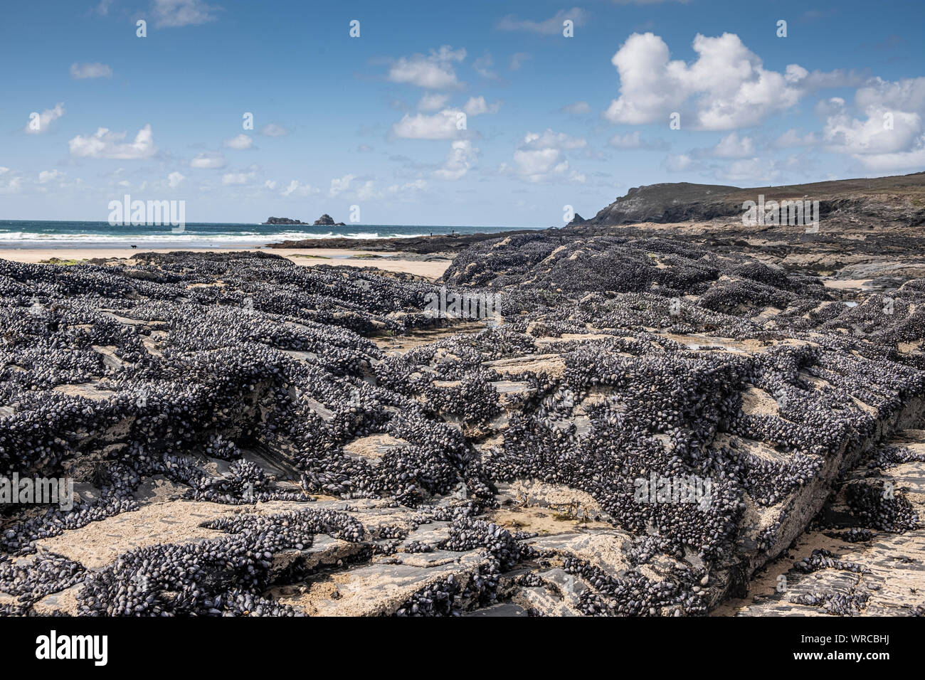 North Cornwall, Booby's Bay Foto Stock