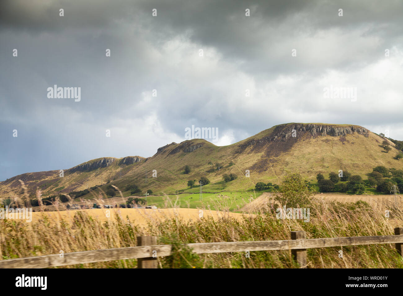 Benarty Hill vicino al Loch Leven, Perth and Kinross, Scozia Foto Stock