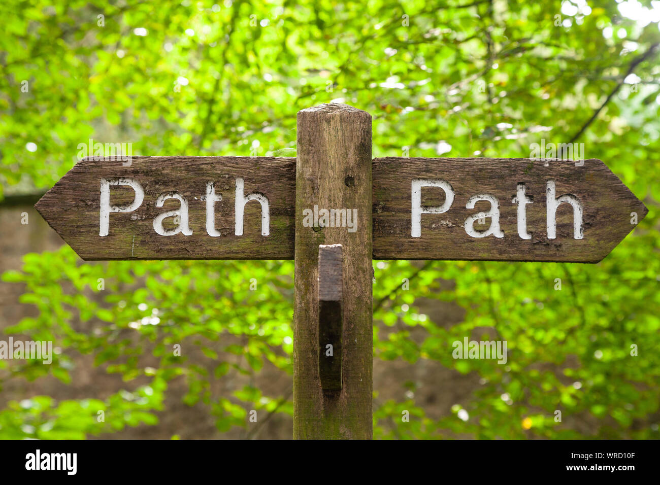 Un sentiero in legno firmare in un bosco dando due scelte. Foto Stock