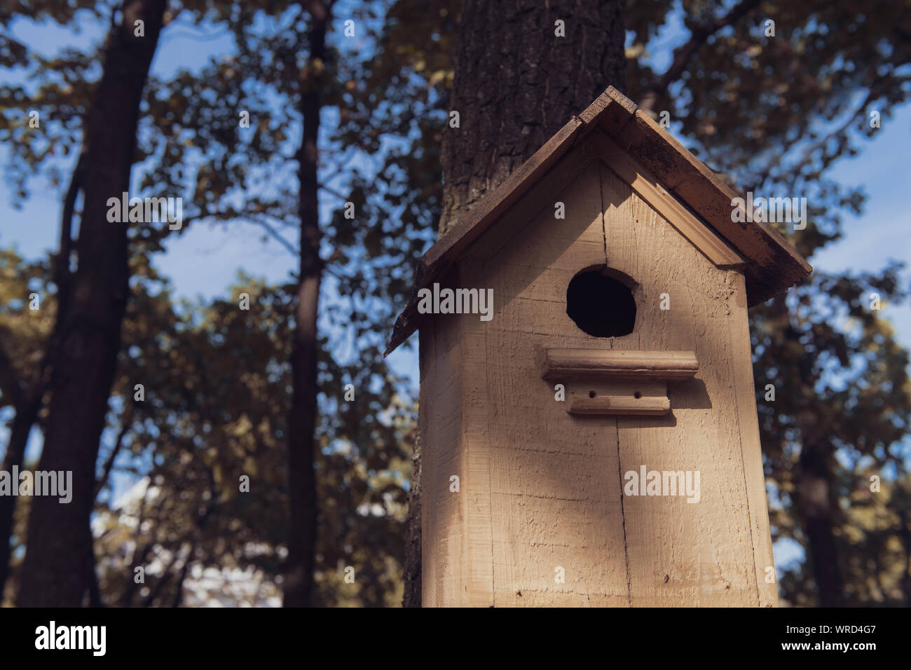 Carino vuoto birdhouse in legno nel parco. Casa fatti a mano per gli uccelli tra gli alberi. Home di un passero. Primo piano. Foto Stock