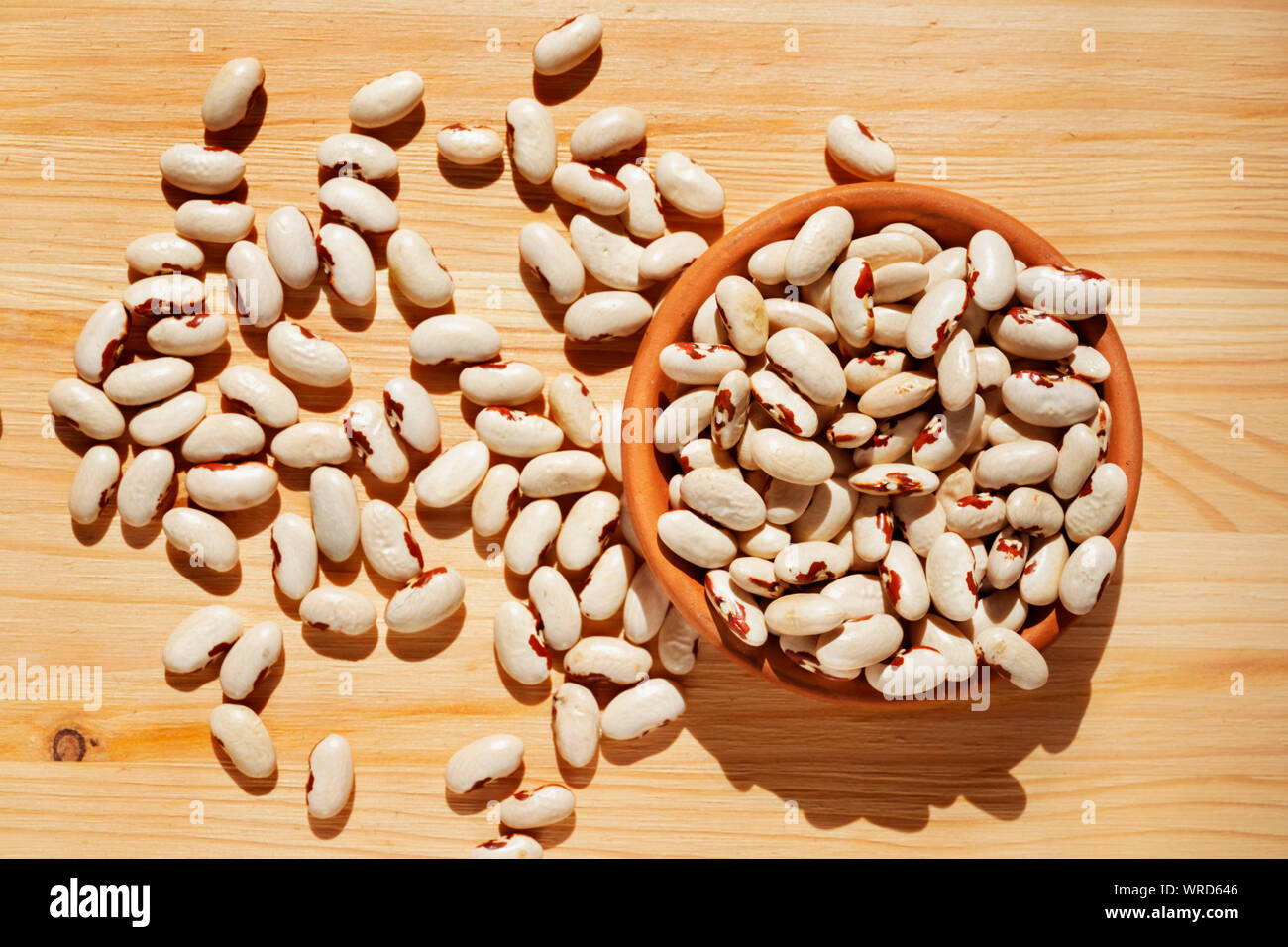 Cumulo di Scicli fagioli - Sicilia - su sfondo di legno ,bianco crema i cannellini -tipo i fagioli con la macchia rossiccia attorno all'ilo ,a preservare la biodiversità Foto Stock