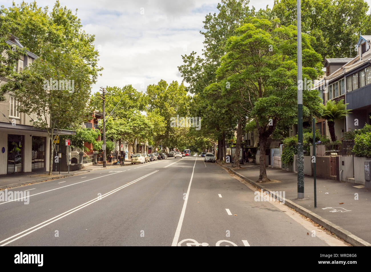 Il viale alberato di Crown Street a Surry Hills, una città interna, sobborgo a est di Sydney nel New South Wales, Australia Foto Stock