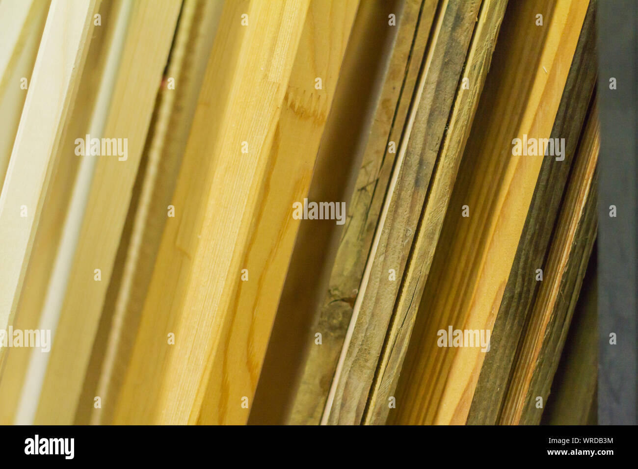 Doghe in legno workshop in legno di conifera pineta di pino cenge falegnami falegname Foto Stock