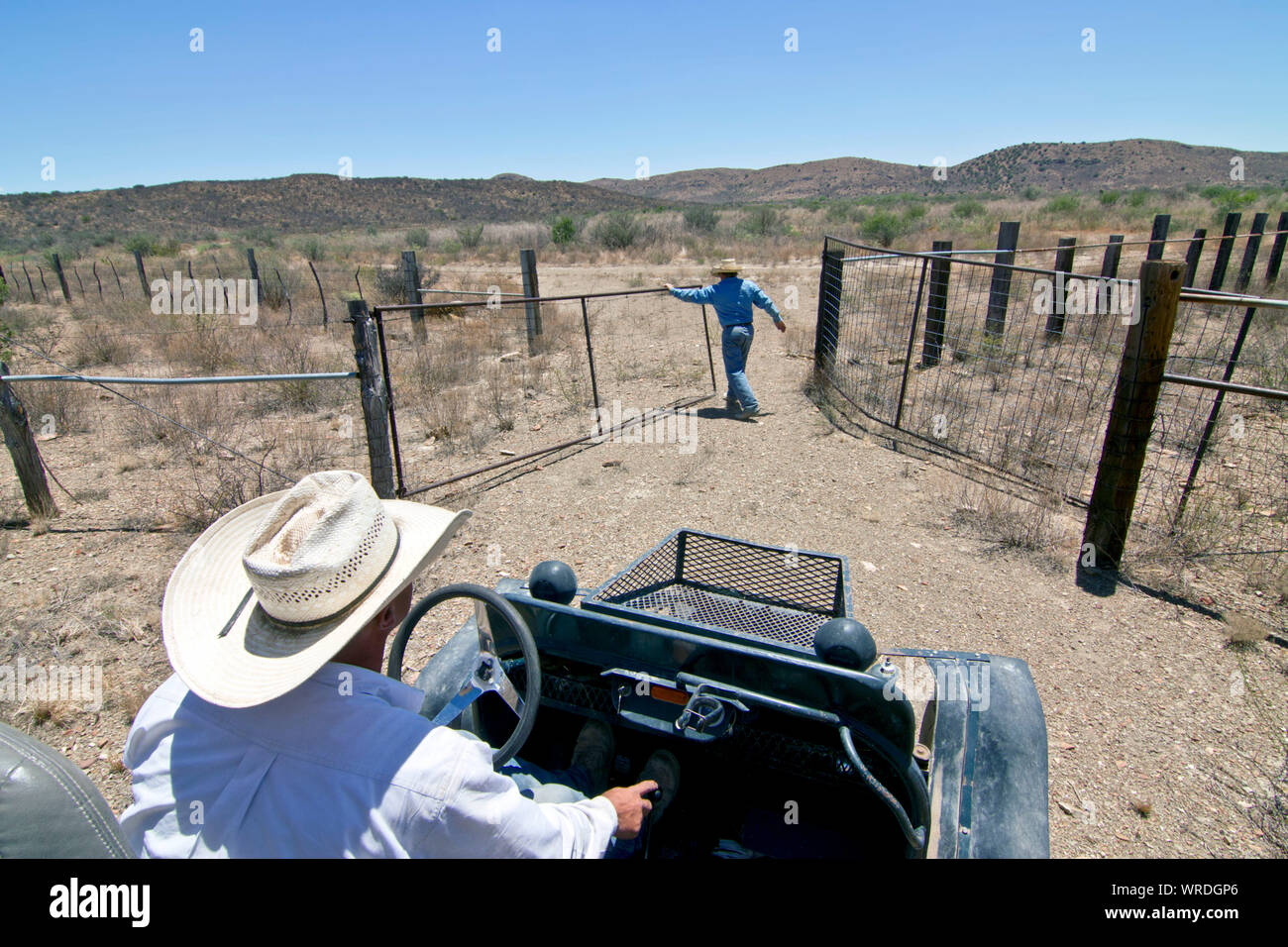 Due cowboy andando a controllare per bovini vaganti su un grande West Texas ranch prima un roundup. Foto Stock