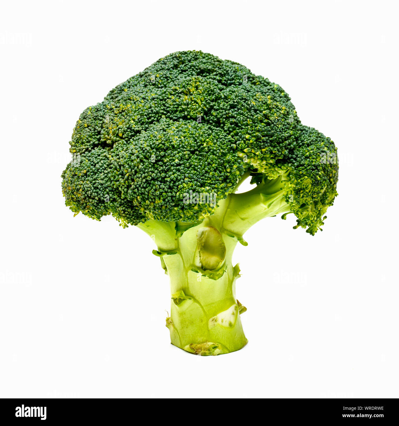 Levetta di broccoli su sfondo bianco Foto Stock