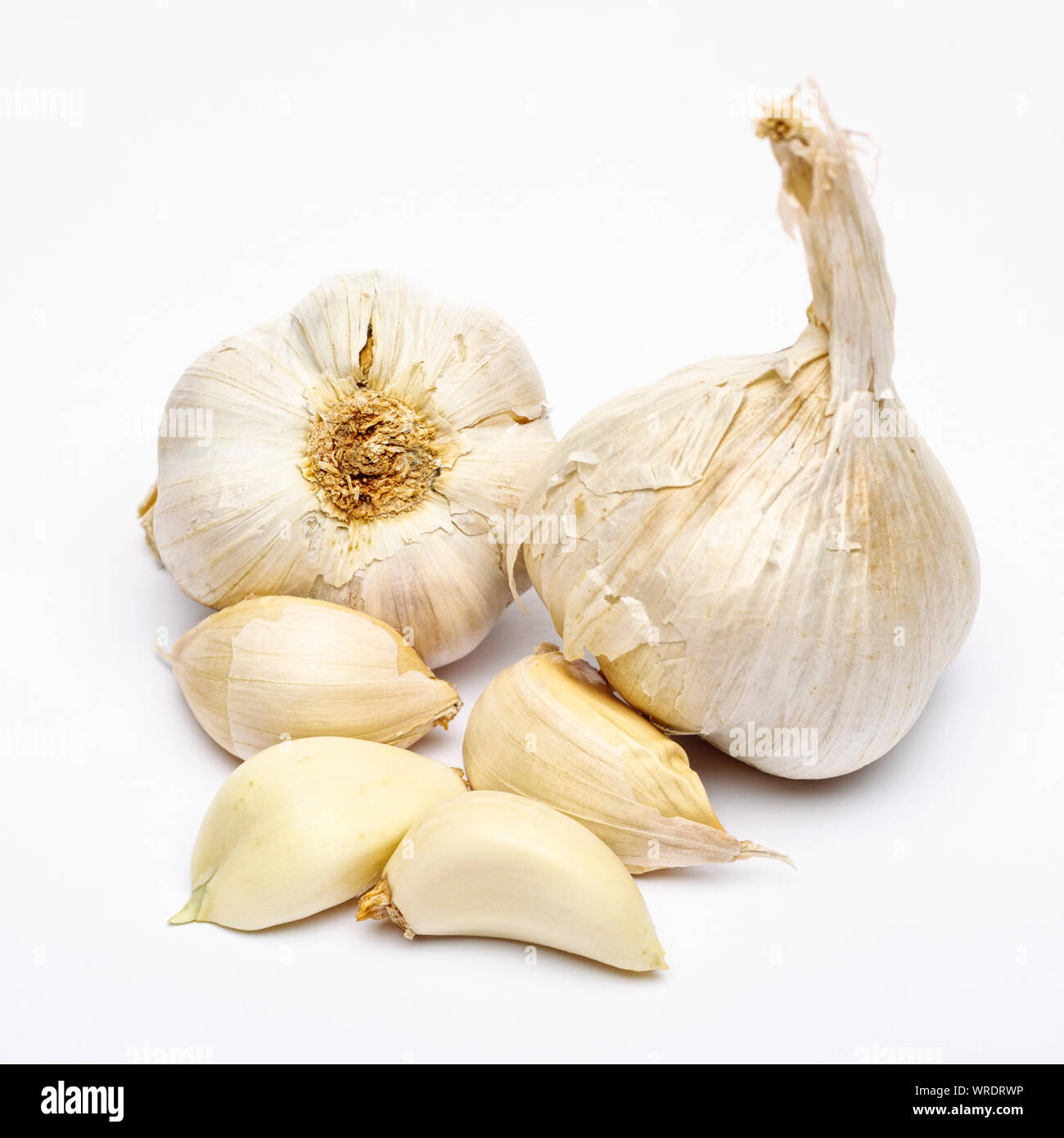 Bulbi di aglio e chiodi di garofano di aglio su sfondo bianco Foto Stock