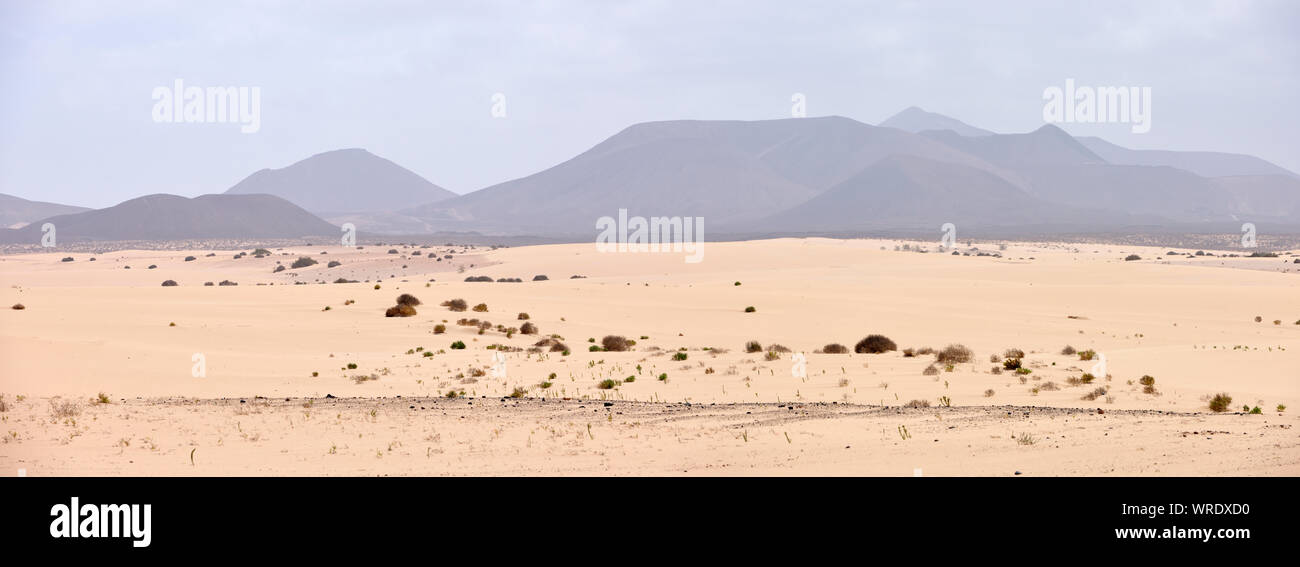 Parque Natural de Corralejo (Corralejo parco naturale). Fuerteventura Isole Canarie. Spagna Foto Stock