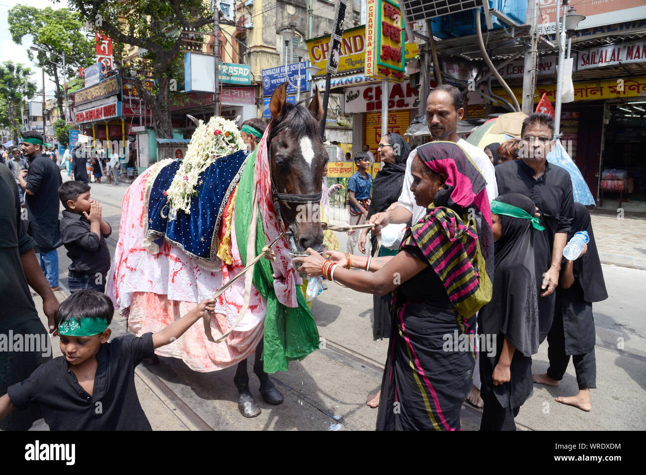 Kolkata, India. Decimo Sep, 2019. Mussulmano sciita donna Santo alimentazione cavallo durante la processione tajia osservare Muharram festival. (Foto di Paolo Saikat/Pacific Stampa) Credito: Pacific Press Agency/Alamy Live News Foto Stock