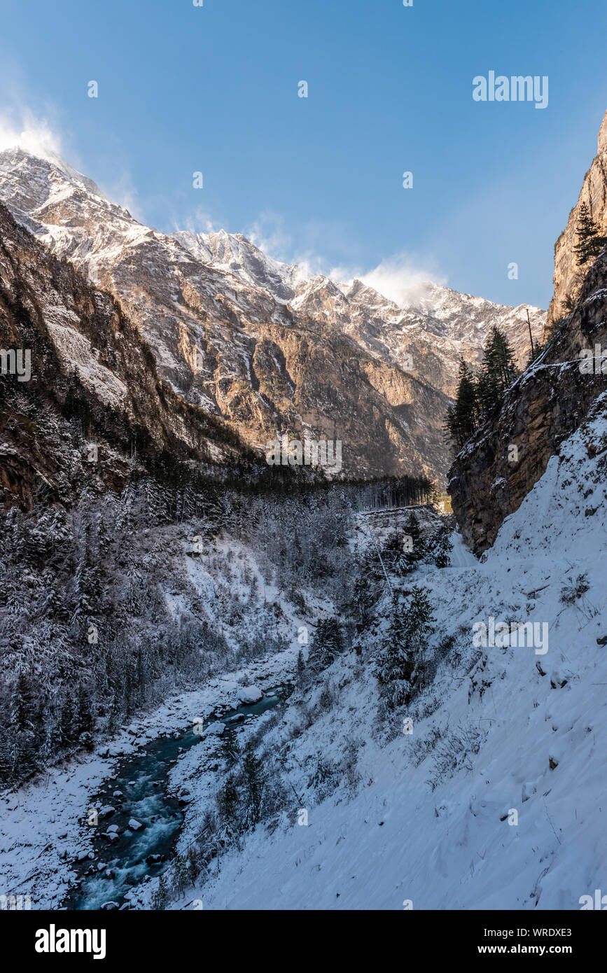 Coperta di neve montagna himalayana e la Pineta Foto Stock