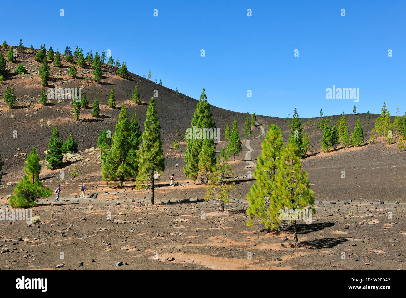 Samara vulcano nel Parco Nazionale del Teide (Parque Nacional del Teide). Tenerife, Isole canarie, Spagna Foto Stock
