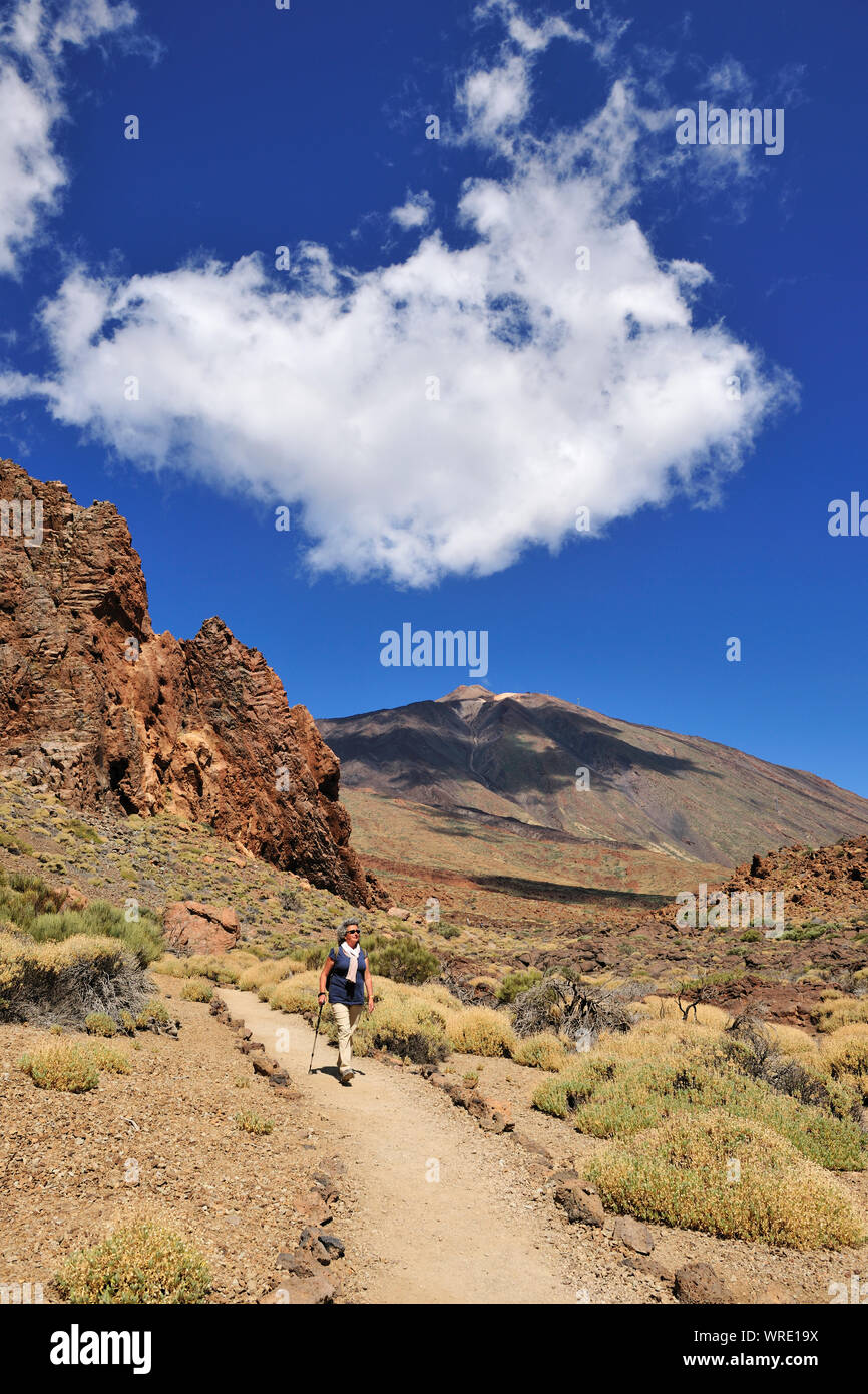 Parco Nazionale del Teide (Parque Nacional del Teide) è centrata intorno al vulcano Teide, 3718m alta, la montagna più alta della Spagna. Tenerife, Isole Canarie. Foto Stock