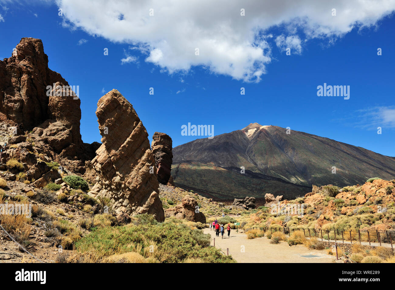 Parco Nazionale del Teide (Parque Nacional del Teide) è centrata intorno al vulcano Teide, 3718m alta, la montagna più alta della Spagna. Tenerife, Isole Canarie. Foto Stock