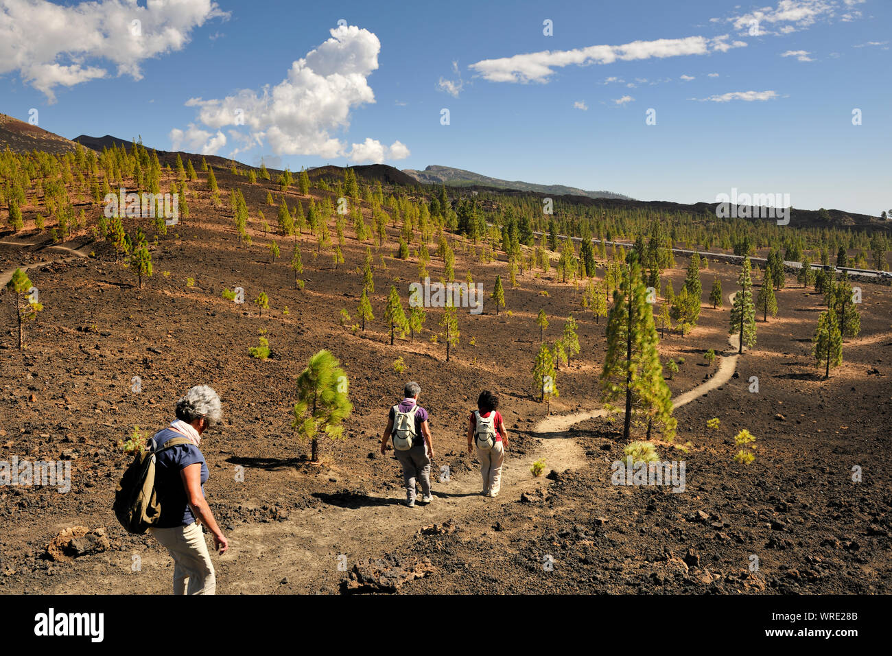 Parco Nazionale del Teide (Parque Nacional del Teide) è centrata intorno al vulcano Teide, 3718m alta, la montagna più alta della Spagna. Tenerife, Isole Canarie. Foto Stock