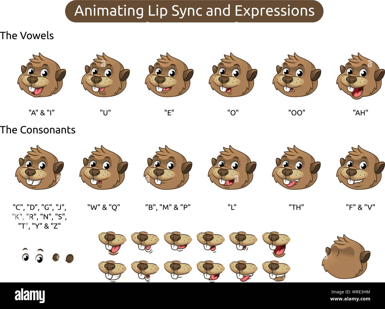 Beaver personaggio dei fumetti illustrazione mascotte per animare Lip Sync e di espressioni, illustrazione vettoriale, in isolati sullo sfondo bianco. Illustrazione Vettoriale