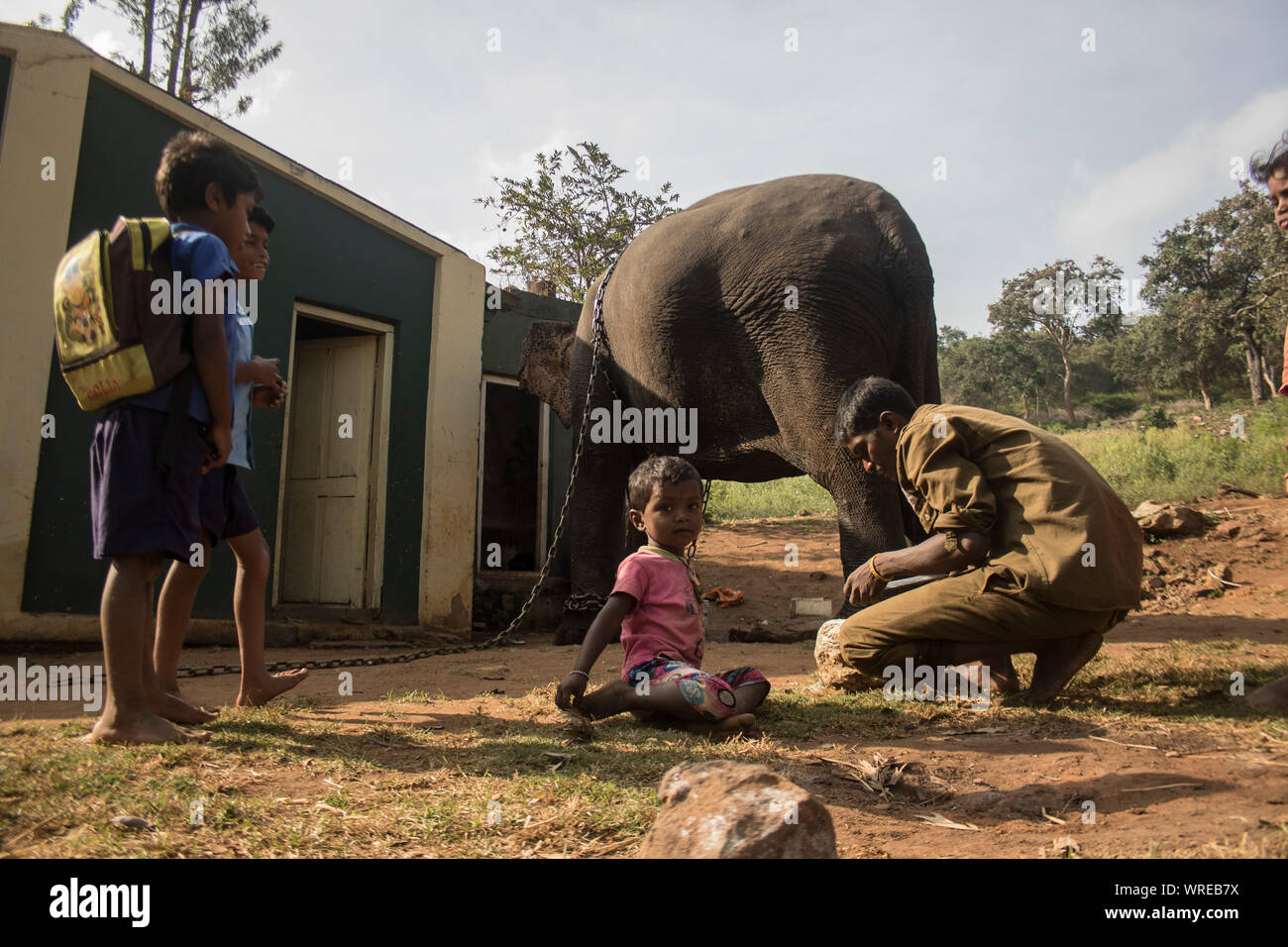 Un tribale del mahout famiglia da una foresta del sud India Foto Stock