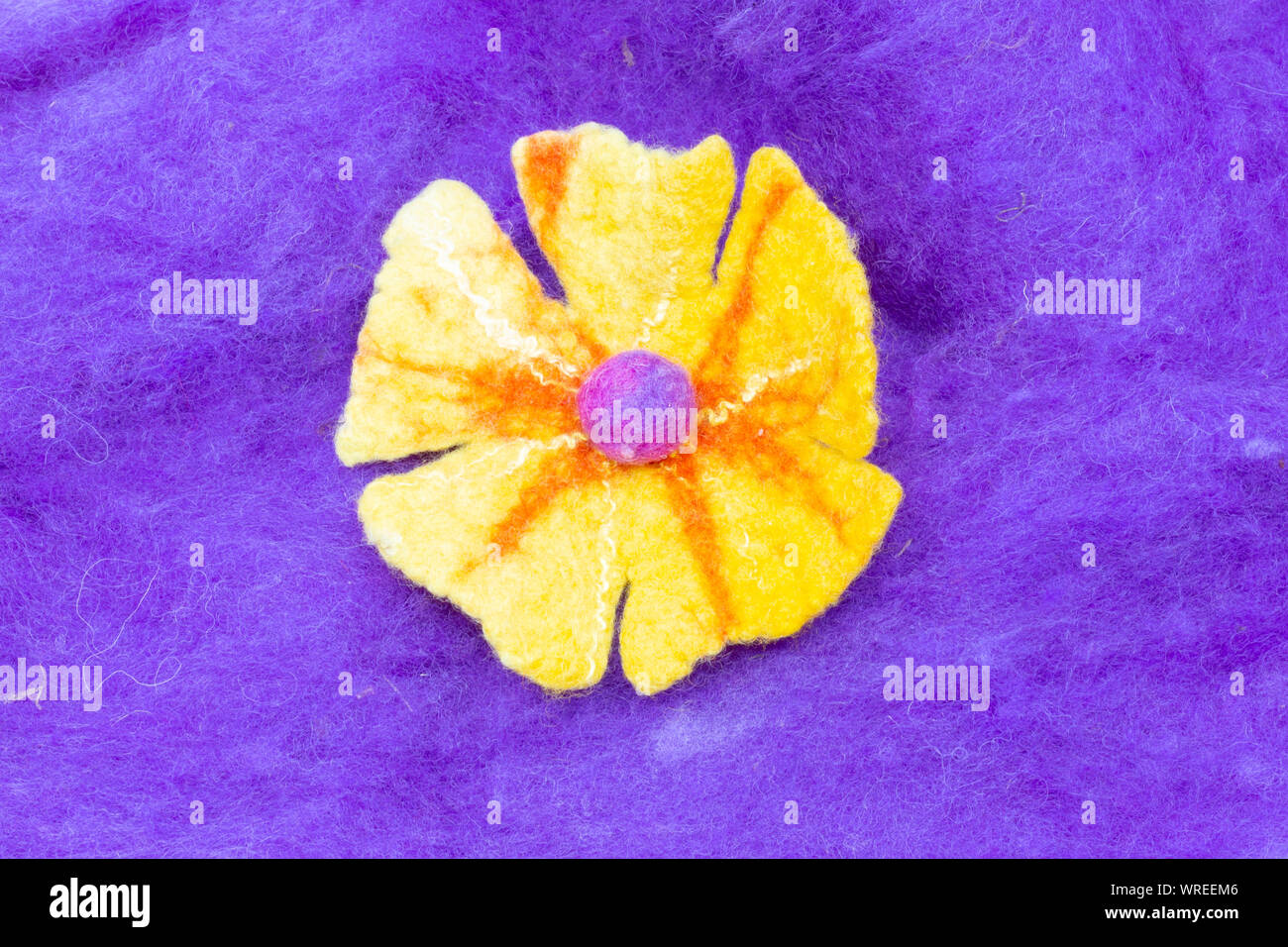 Feltro di giallo dei fiori sul viola tinti lana grezza sullo sfondo Foto Stock