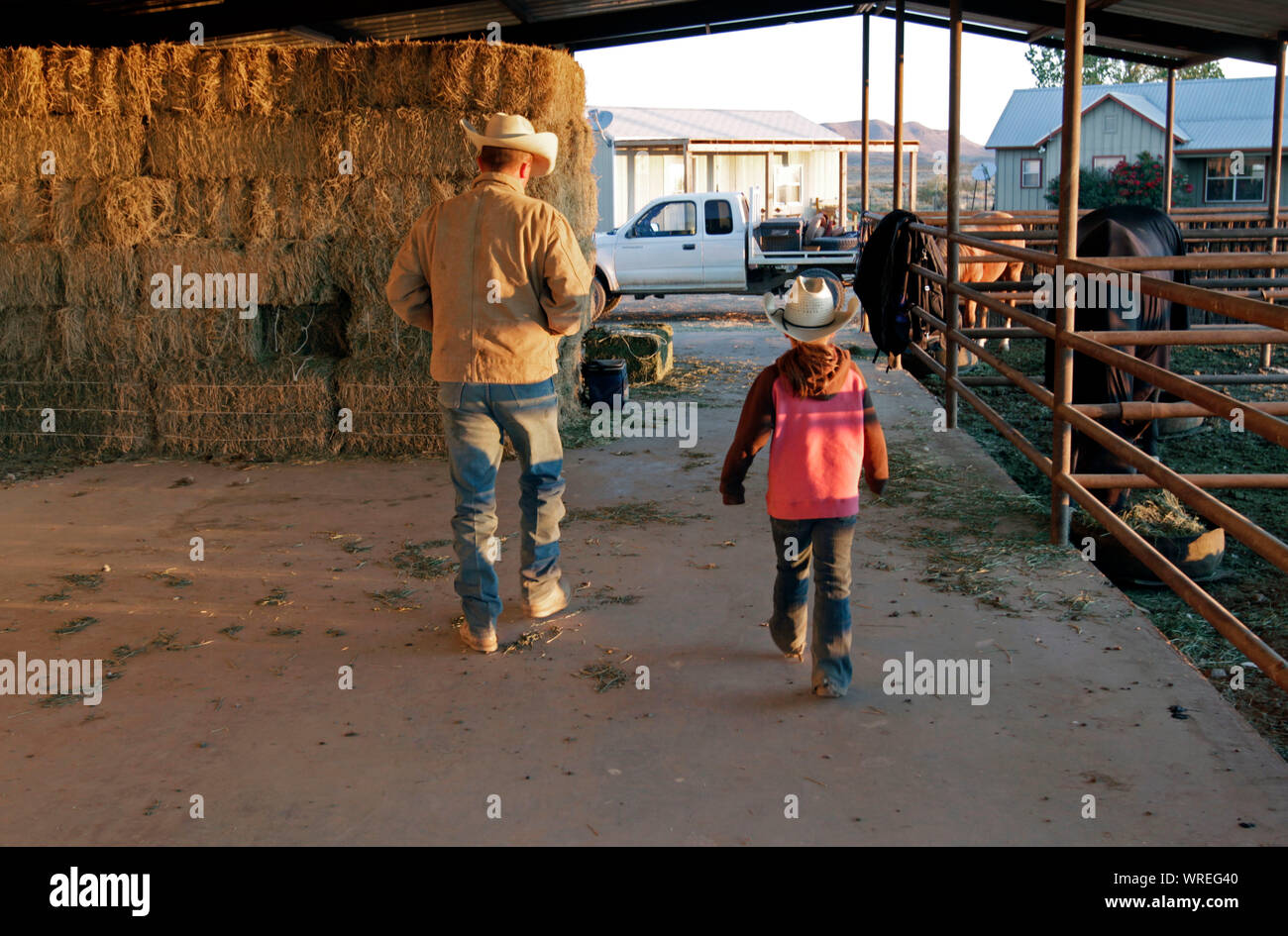 Scene di vita ranch nel Texas occidentale Foto Stock
