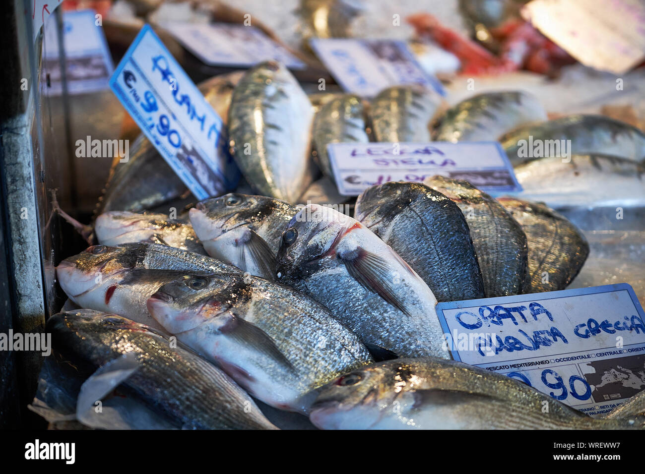 Pesce fresco con i cartellini dei prezzi nel mercato Foto stock - Alamy