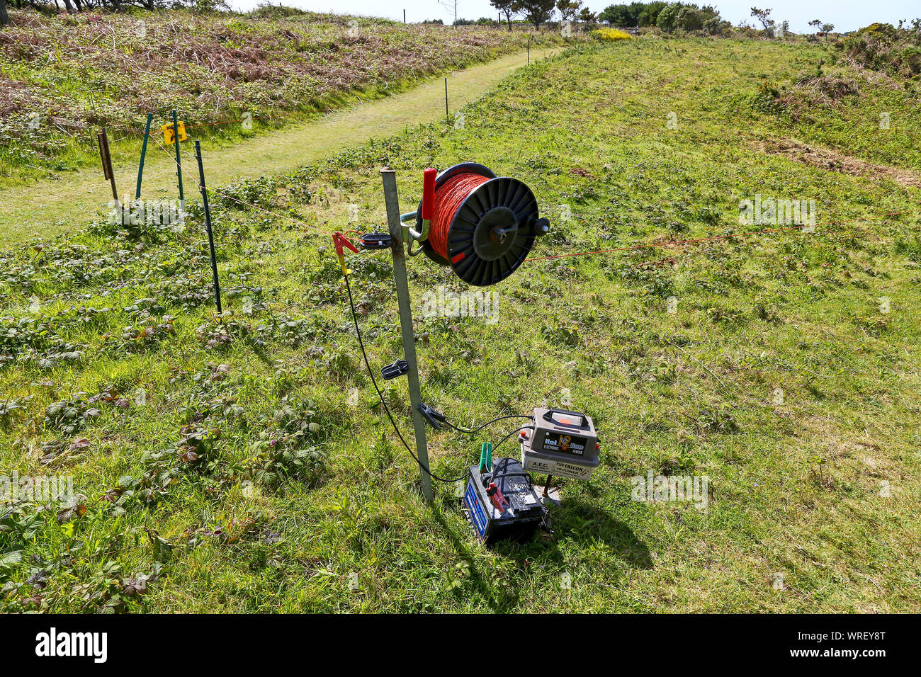 Una linea calda 12 azionato a batteria volante elettronico o recinto elettrico, St. Martin's Island, isole Scilly, Cornwall, Regno Unito Foto Stock