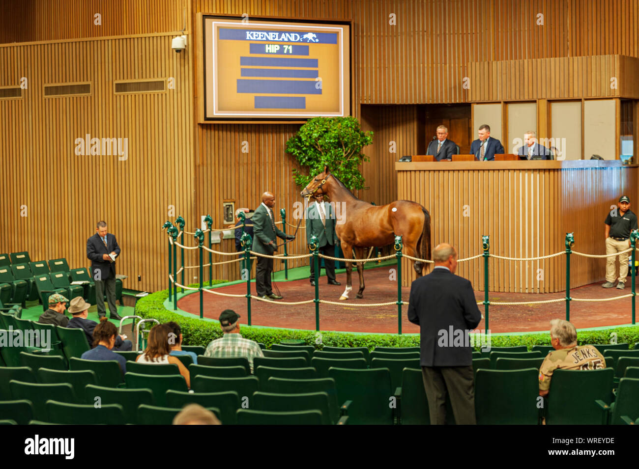 2019 Keeneland Yearling vendite a Keeneland Vendita Pavilion in Lexington Kentucky Foto Stock