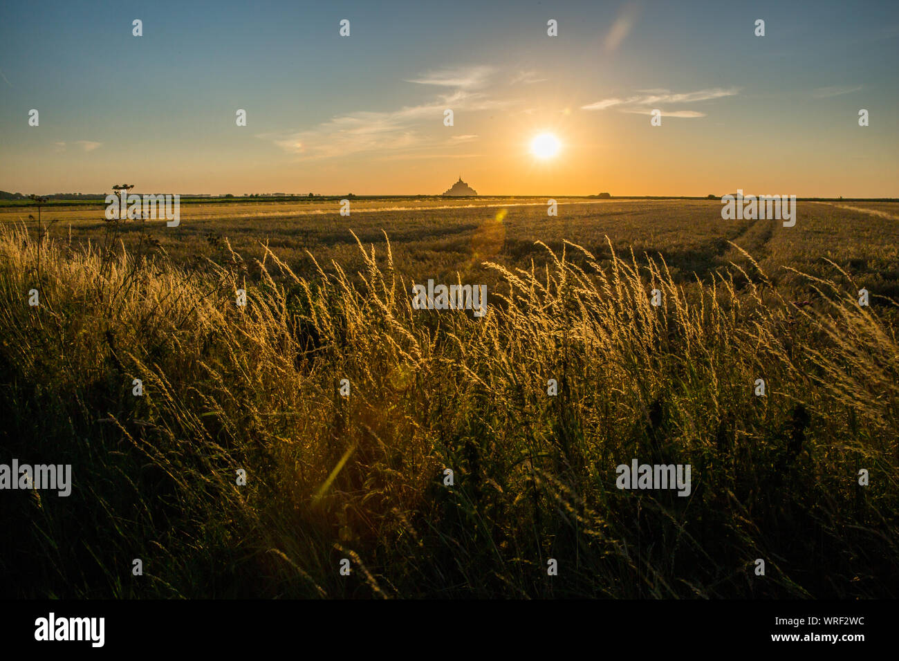 Mont Saint Michel Bay e campi dorati in Normandia Francia al tramonto Foto Stock