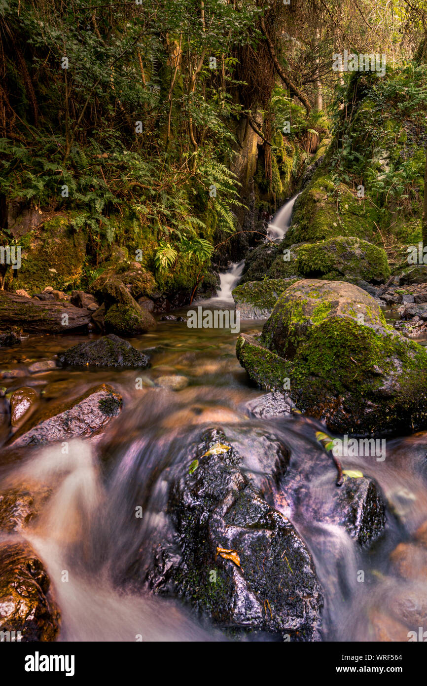 Il Silver rotolamenti di burn out del argento Glen, nel Ochil Hills sopra Alva, Clackmananshire. Foto Stock