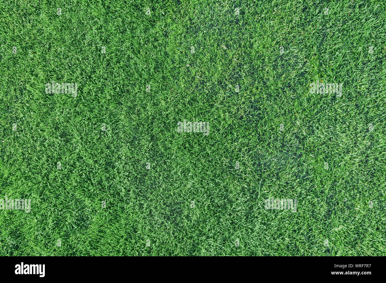 Sullo sfondo della natura di erba verde turf Foto Stock