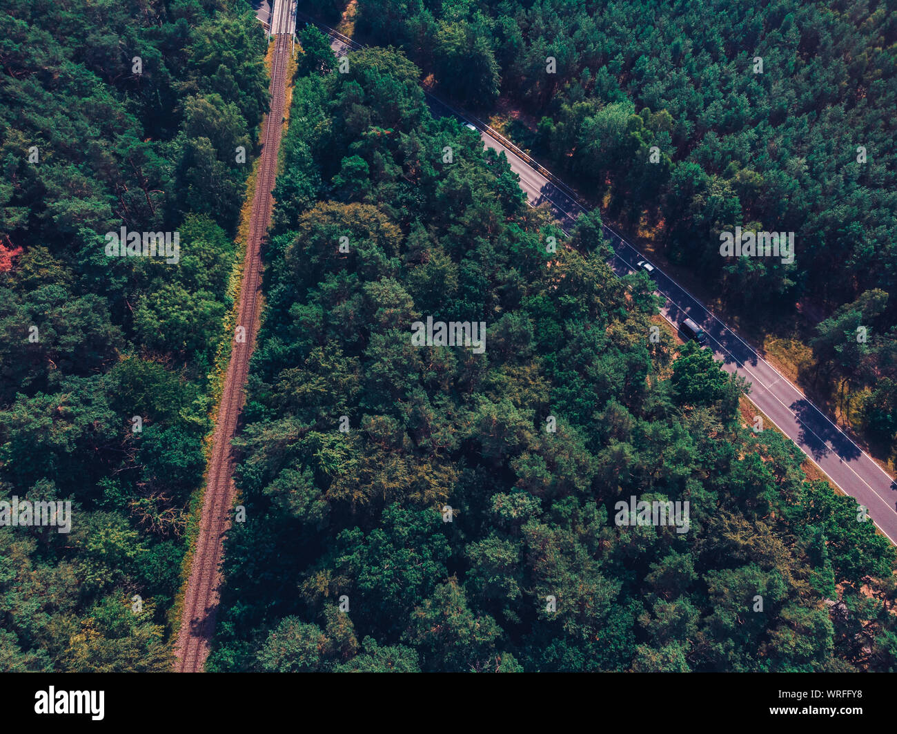 La linea ferroviaria e l'autostrada in una foresta Foto Stock