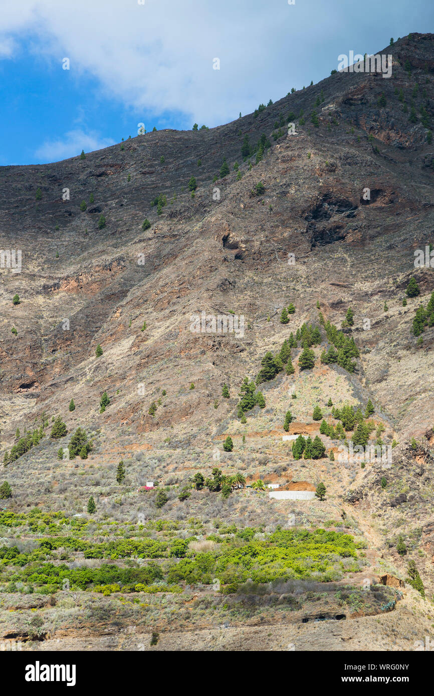 Visualizzare per le ripide pareti del canyon di ingresso alla Caldera de Taburiente a La Palma, Spagna. Foto Stock