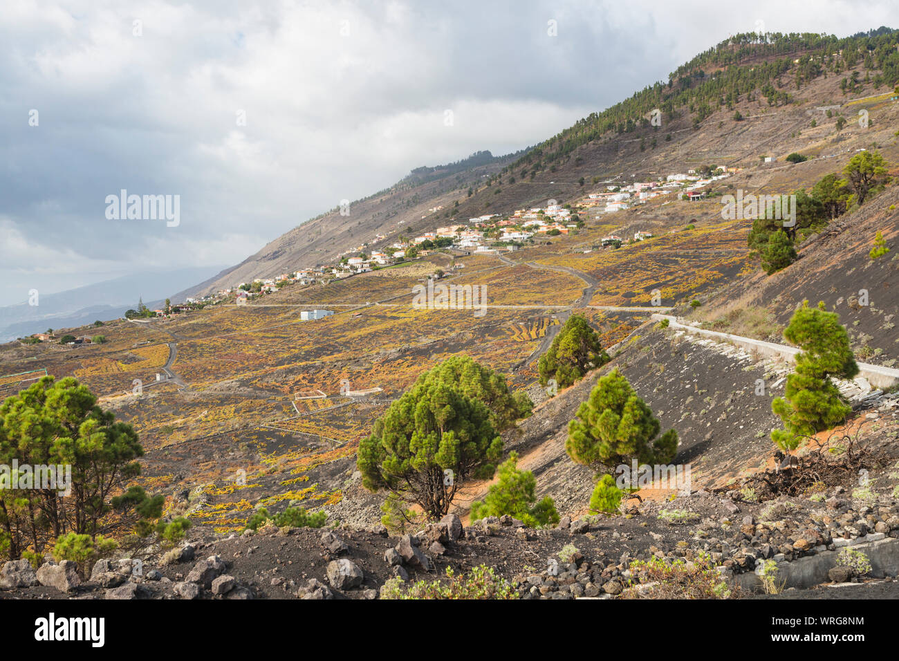 Un canale d'acqua sul fianco del Volcan San Antonio in La Palma, Spagna vicino a Los Quemados. Utilizzati per il trasporto di acqua di pioggia per i vigneti. Foto Stock