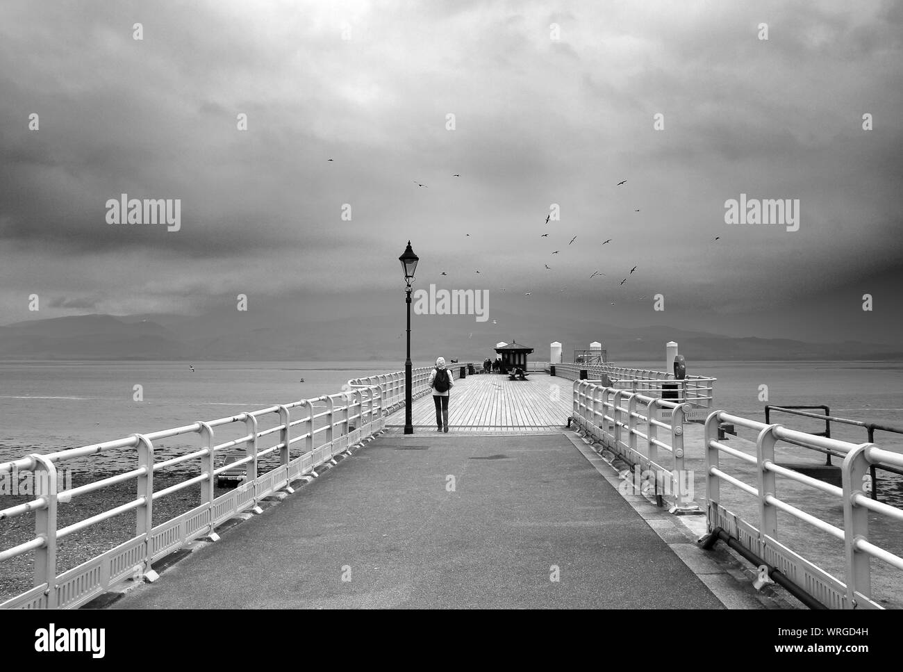 Beaumaris (Galles) nel mese di aprile. Un molo sul mare, un lampione, una persona a piedi visto da dietro gli uccelli il rilevamento della tempesta, nuvole scure Foto Stock