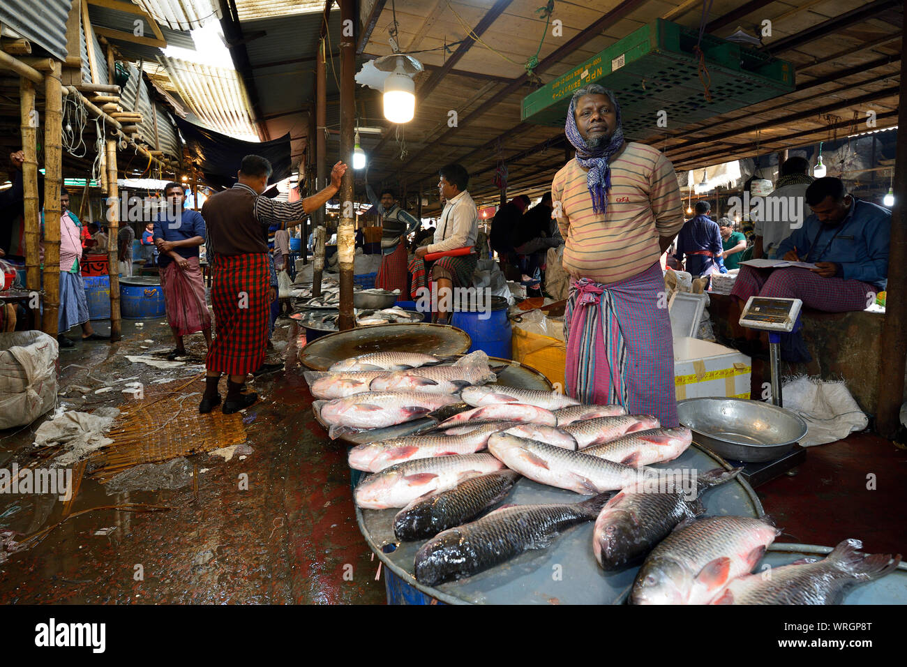 Dacca, Bengala IL BANGLADESH - 26 gennaio 2019: venditore di pesce sul mercato confezionati nella città capitale del Bangladesh, Dhaka Foto Stock